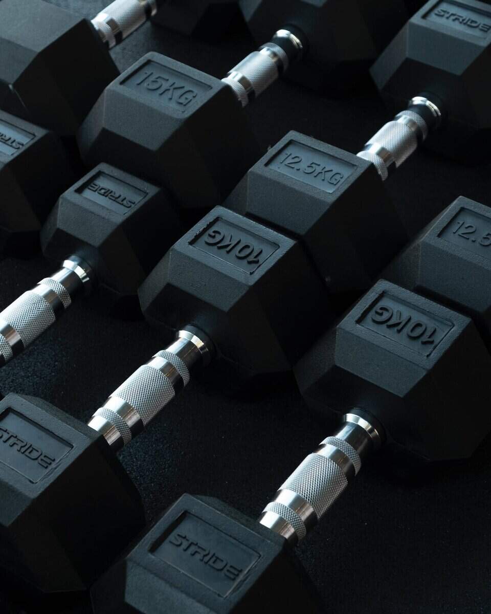 studio motum dumbbells fysiotherapie orthomoleculaire osteopathie osteopaat fysiotherapeut